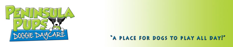Peninsula Pups Doggie Daycare